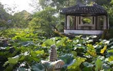 Image of Suzhou Garden