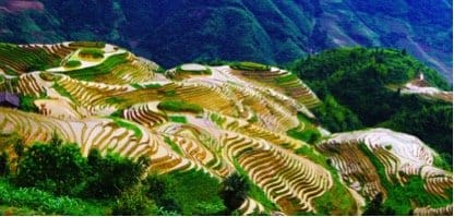 Long Ji Rice Terraced fields